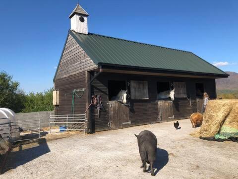 Heatherhill Farm Cottage In Letterfrack Beside Connemara National Park Екстериор снимка